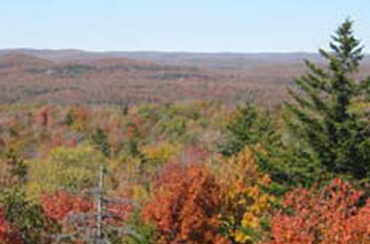 SUNY IT